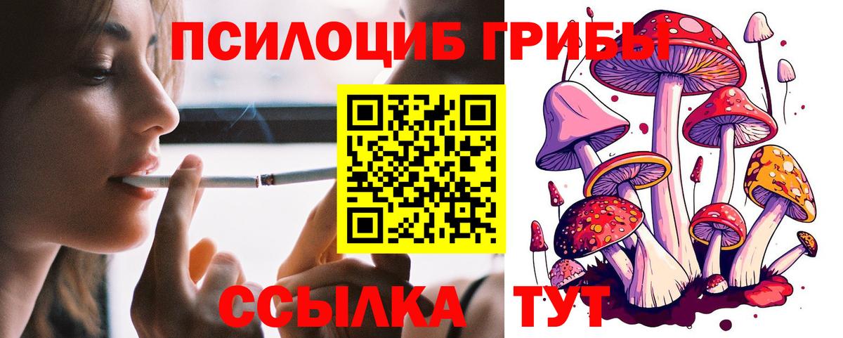Реутов  Галлюциногенные грибы Cubensis  Вход с VPN  Галлюциногенные грибы Psilocybine cubensis 